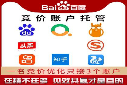 百度推广实战攻略：案例与策略